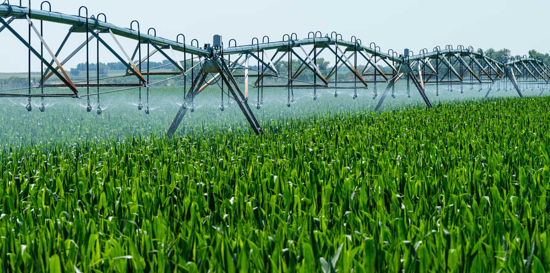 Which industries use the most water and why?