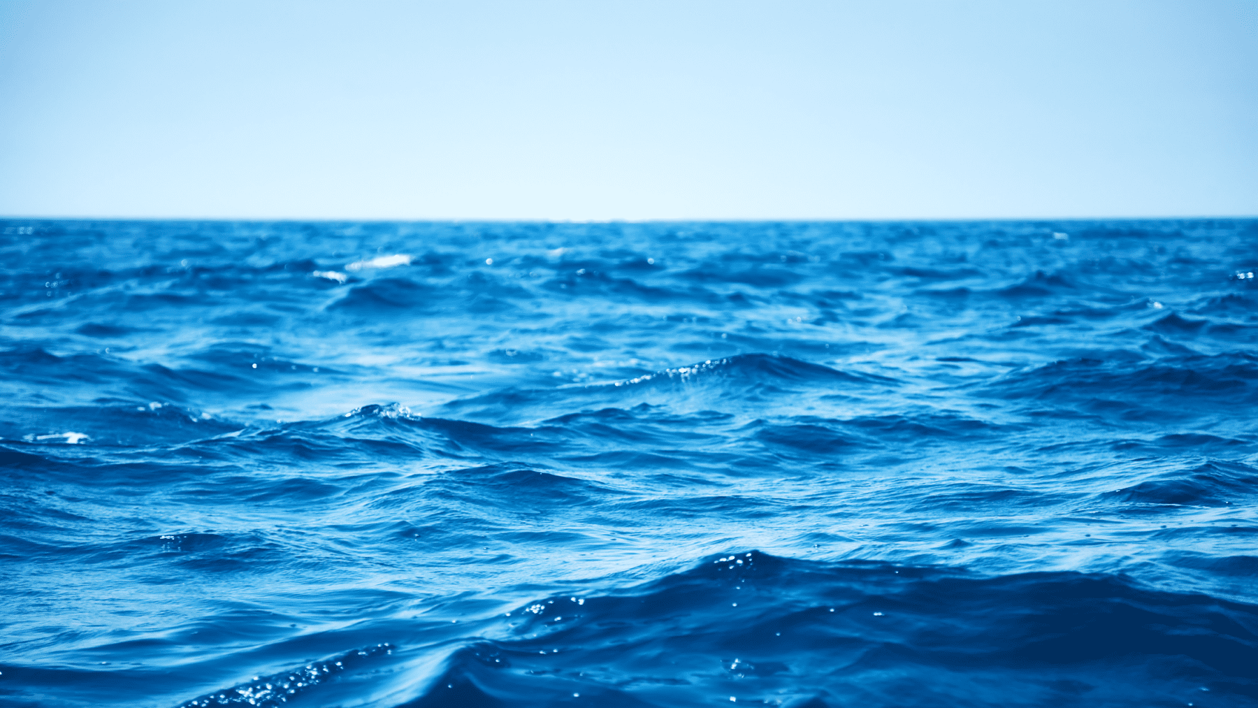 How upstream water quality and wastewater management impact the health of the seas