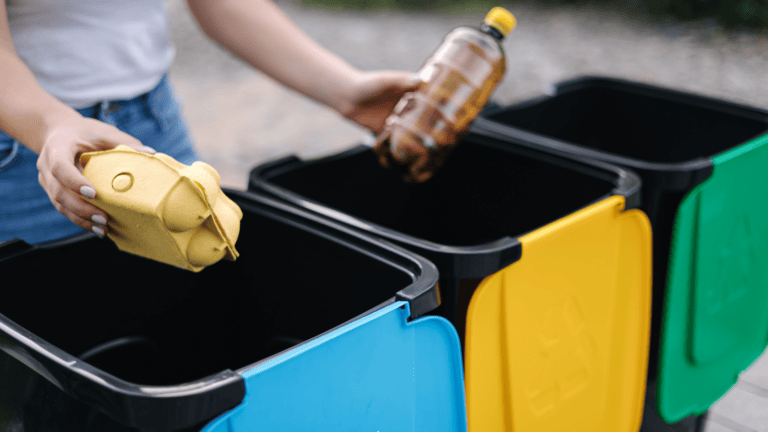 The hidden cost of contaminated recycling bins